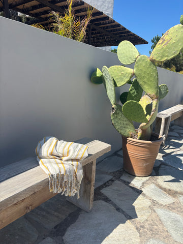 Izmir Turkish Towel