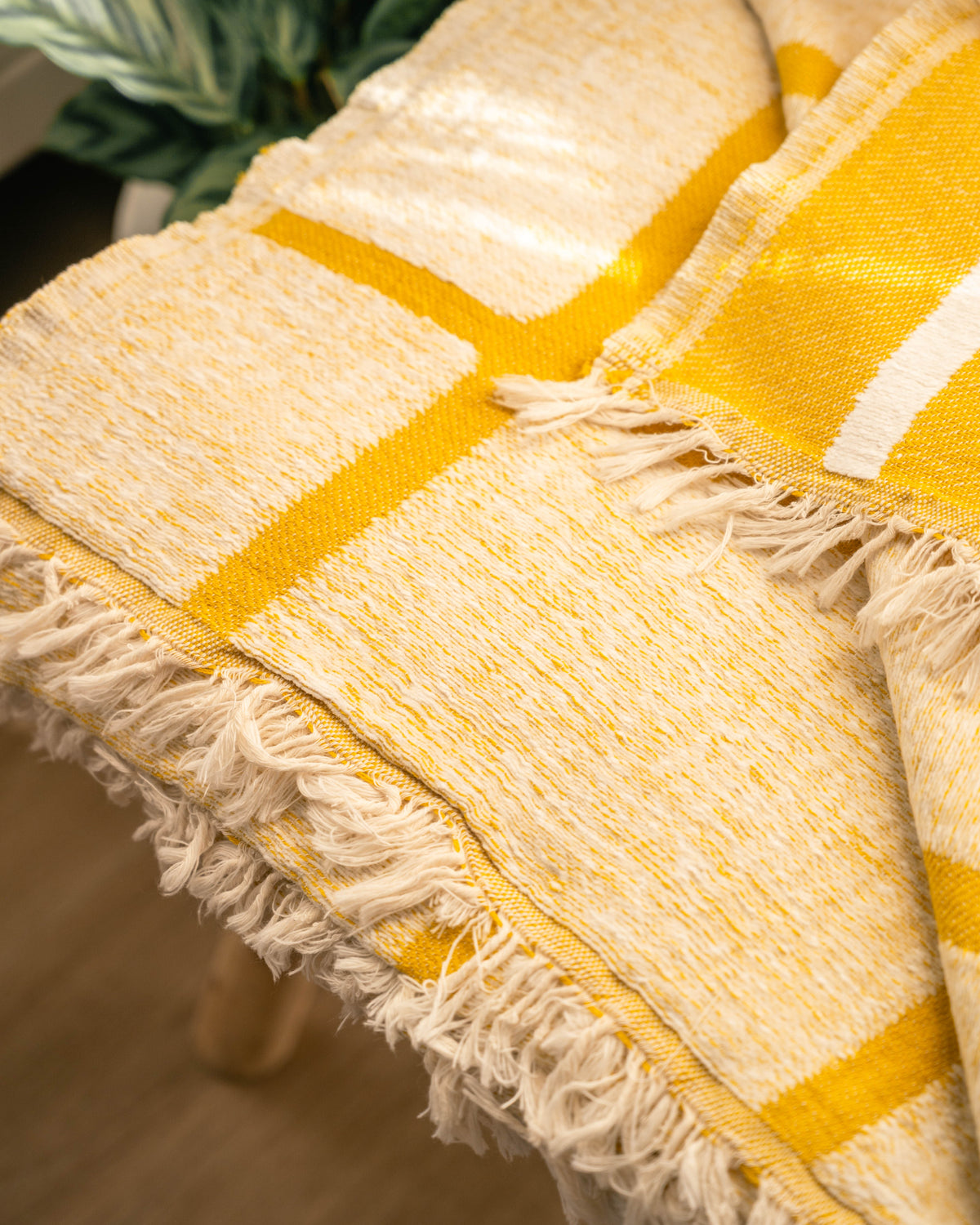Lina Cotton Chenille Throw