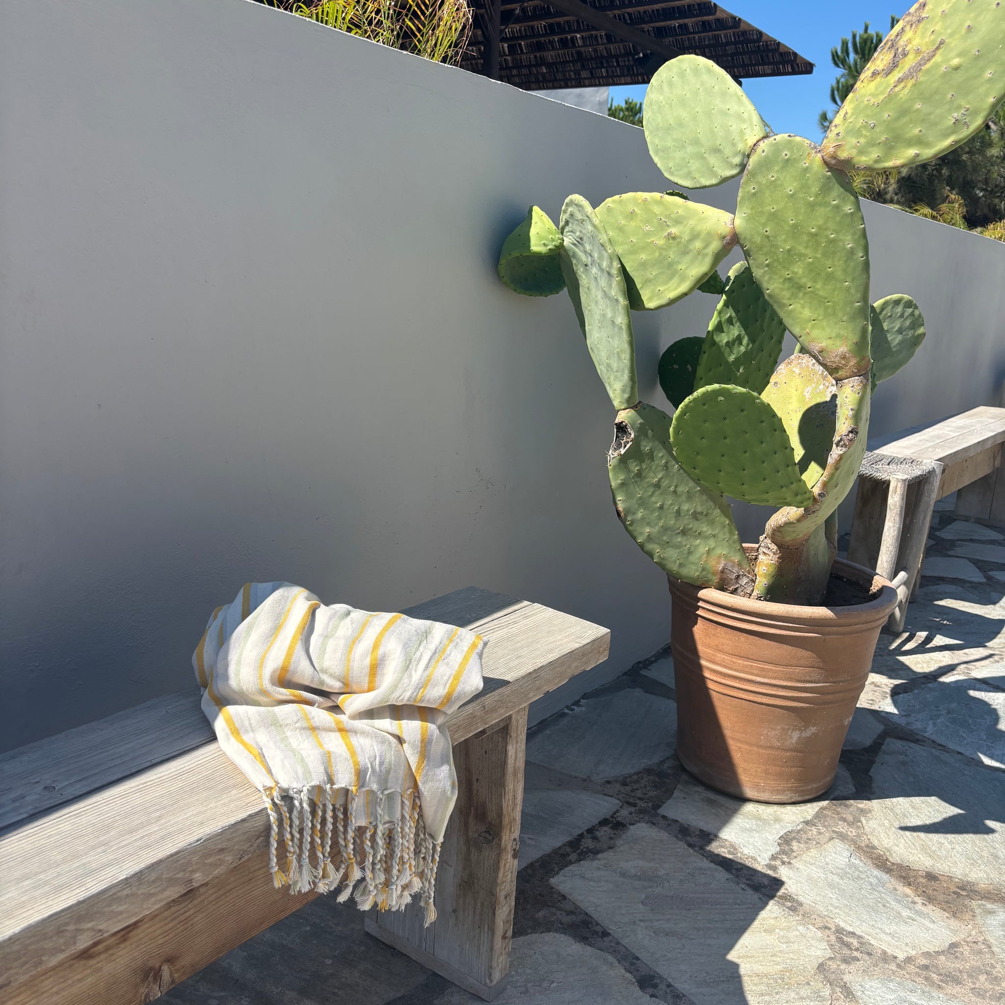 Izmir Turkish Towel