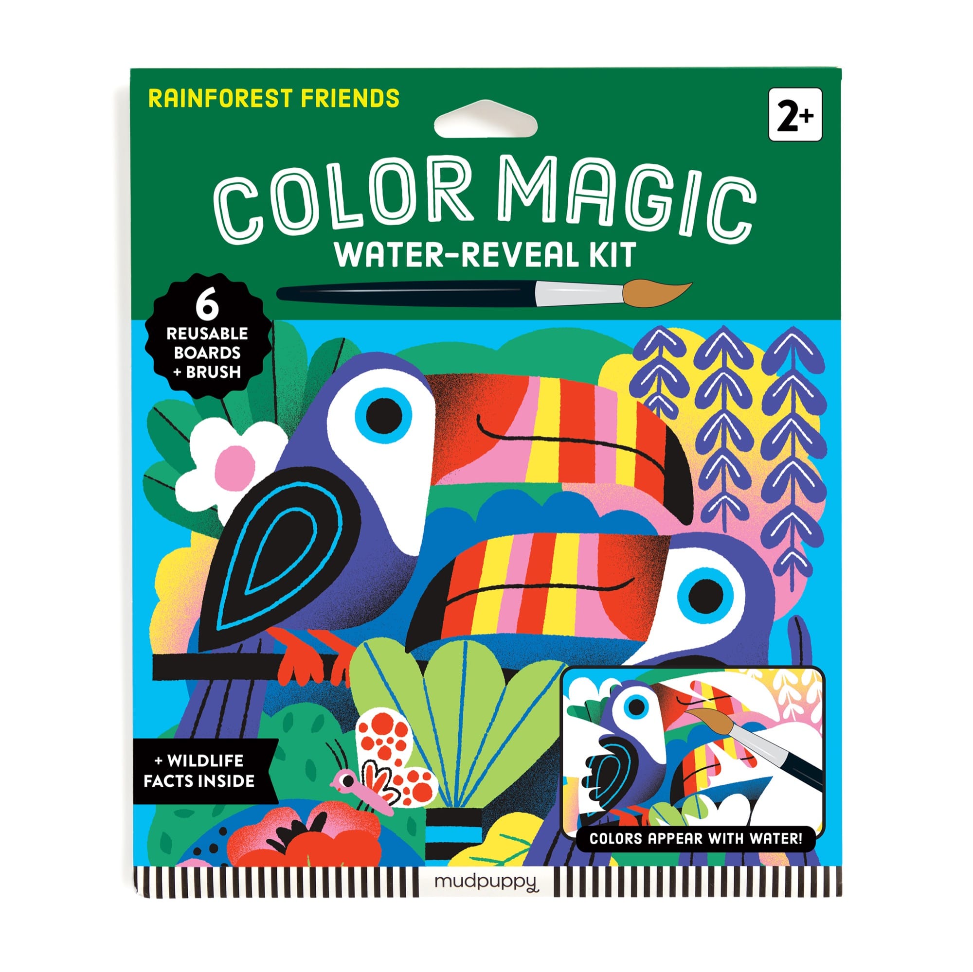 Rainforest Friends Water-Reveal Kit