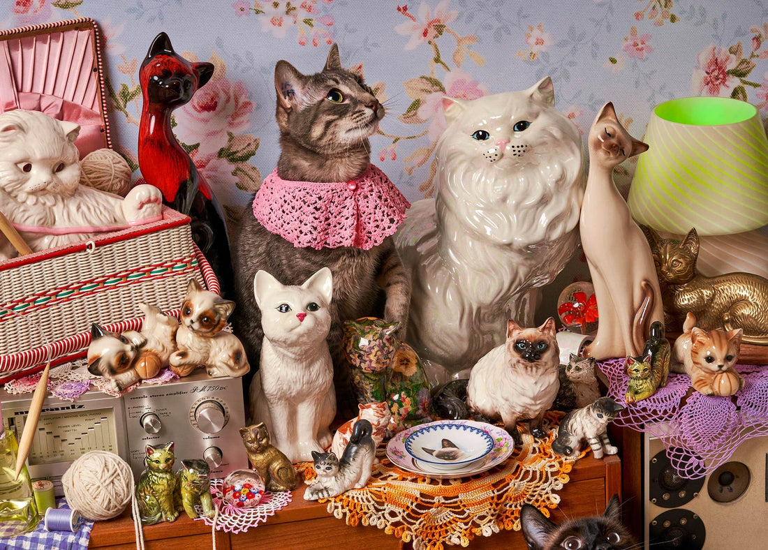 Cat Person