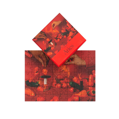 Zodiac Mini Puzzles