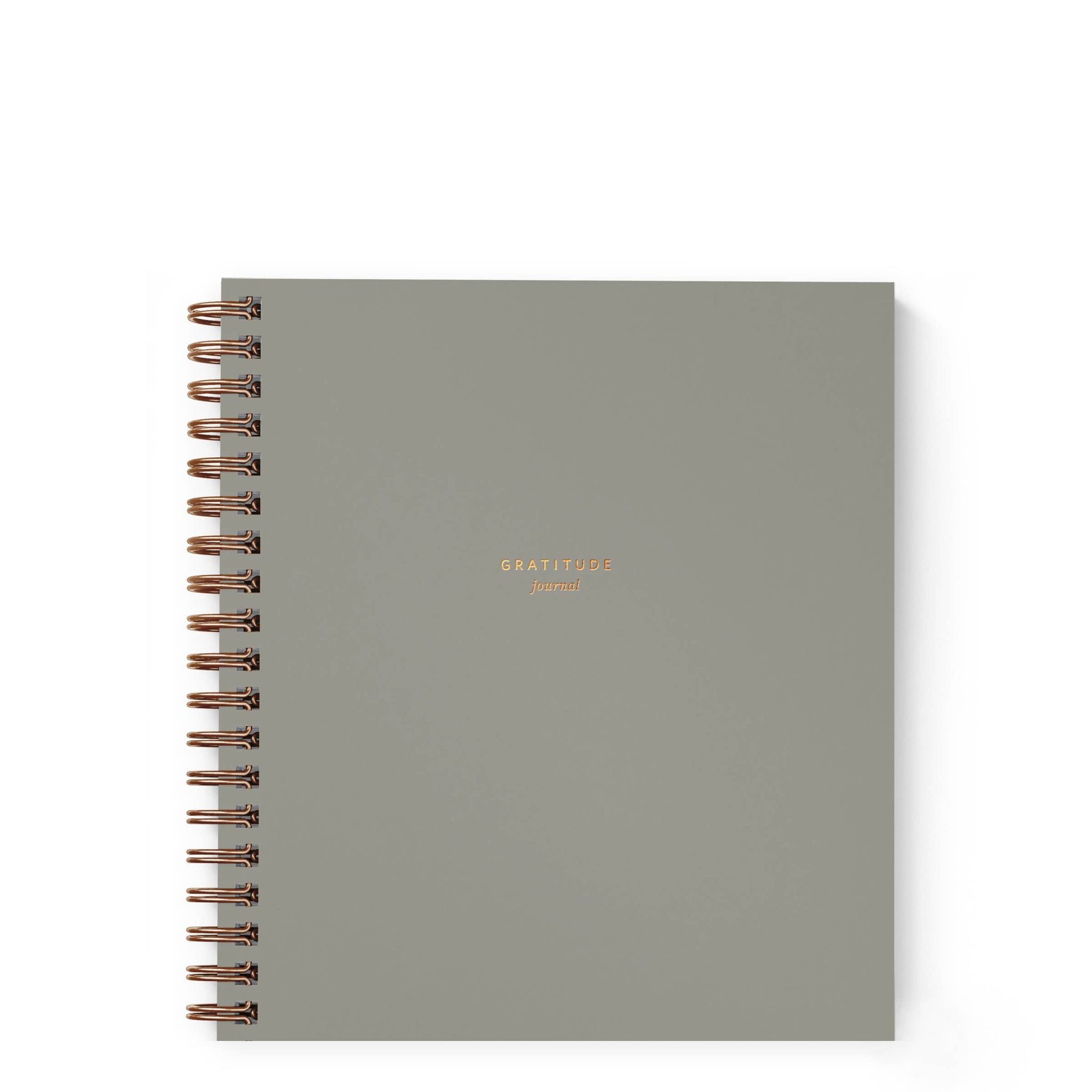 Mini Gratitude Journal