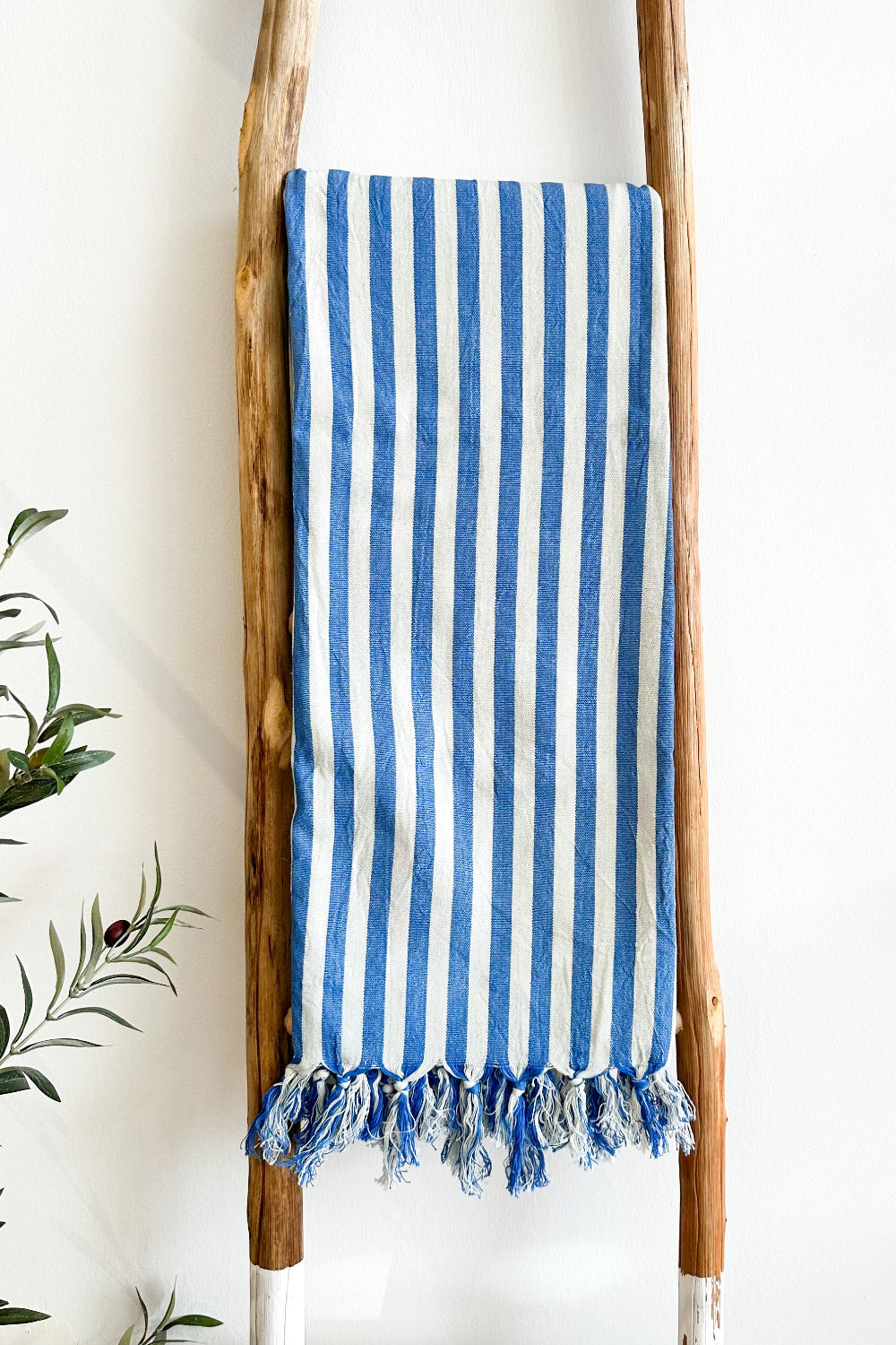 A blue and white striped Turkish body towel hanging on a wooden rack against a white wall, with a green plant in the bottom left corner.
